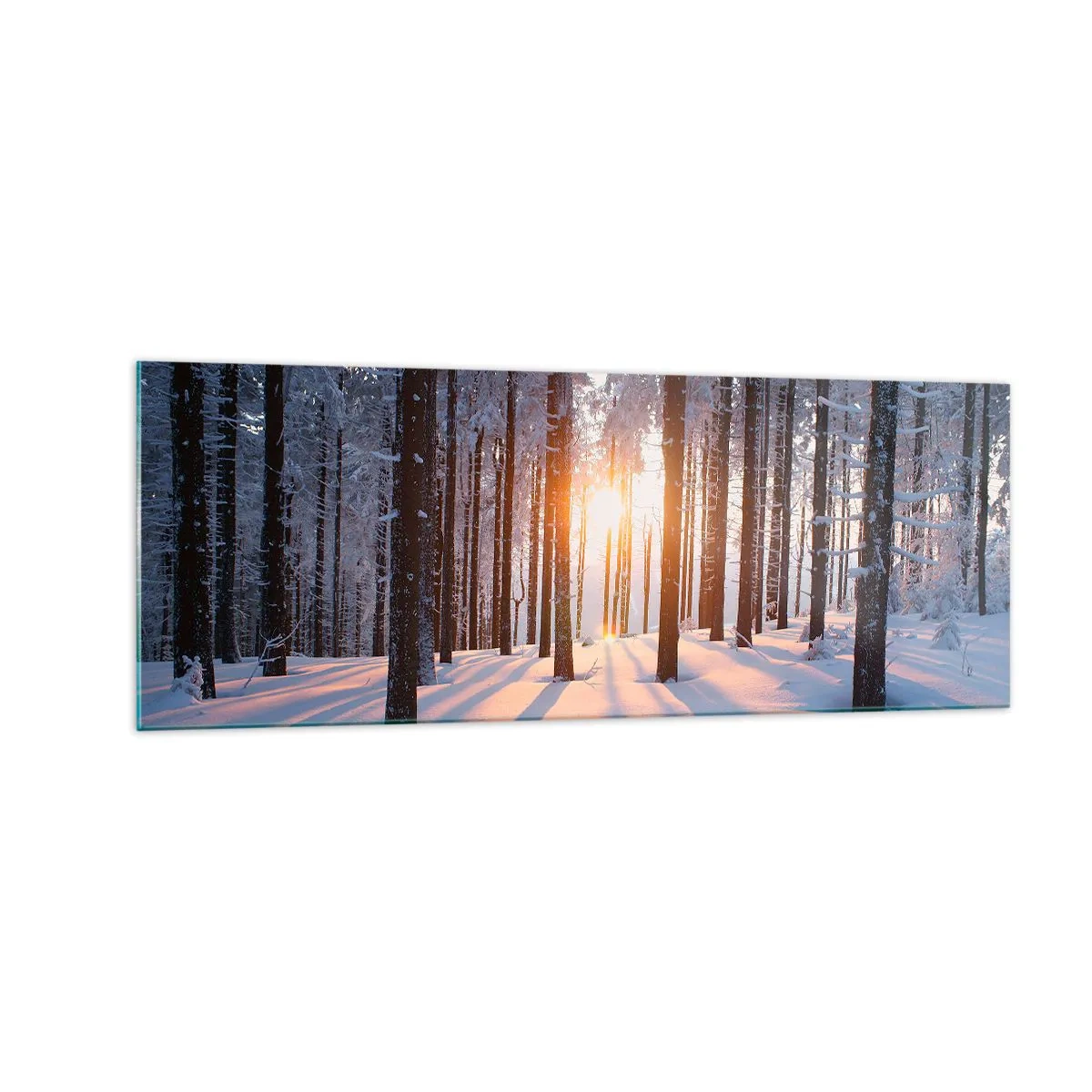 Glasbild - Bild auf glas - Winterwald, beleuchtet von den Sonnenstrahlen - 140x50cm - Ganz klar schwarz auf weiß - Moderne Wanddekoration für Wohnzimmer und Schlafzimmer ARTTOR