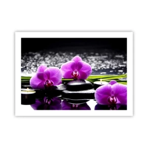 Poster - In Ruhe ertrinken - 70x50 cm