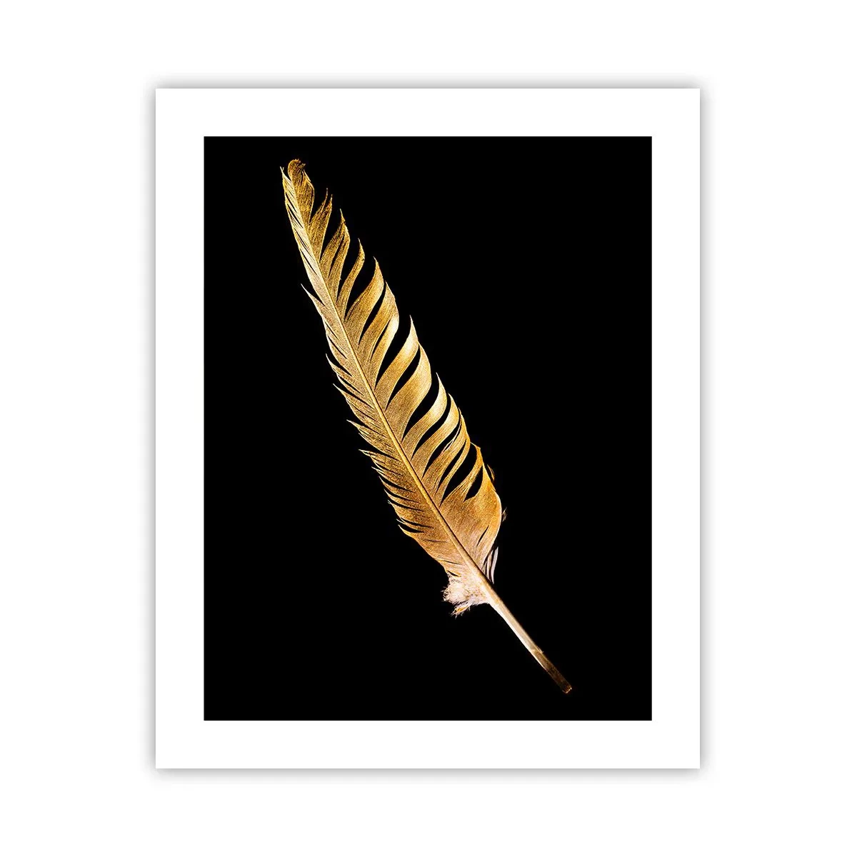 Poster - Er hat ein ungewöhnliches Schreibtalent ... - 40x50 cm