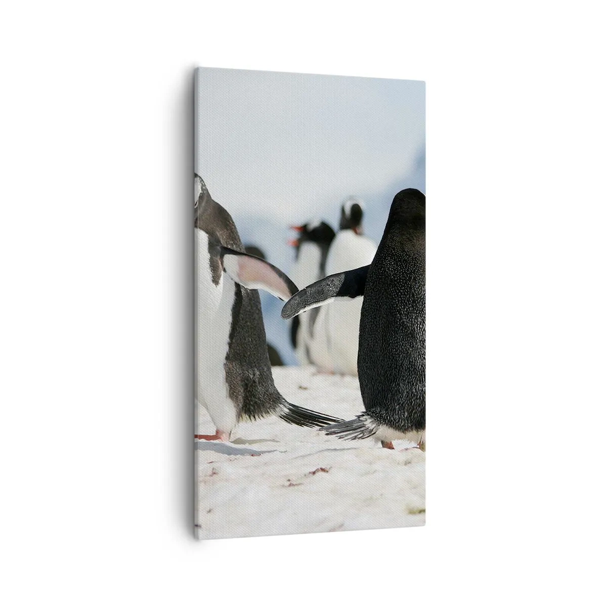 Bild auf Leinwand - Leinwandbild - Tanzen im Schnee - 55x100 cm