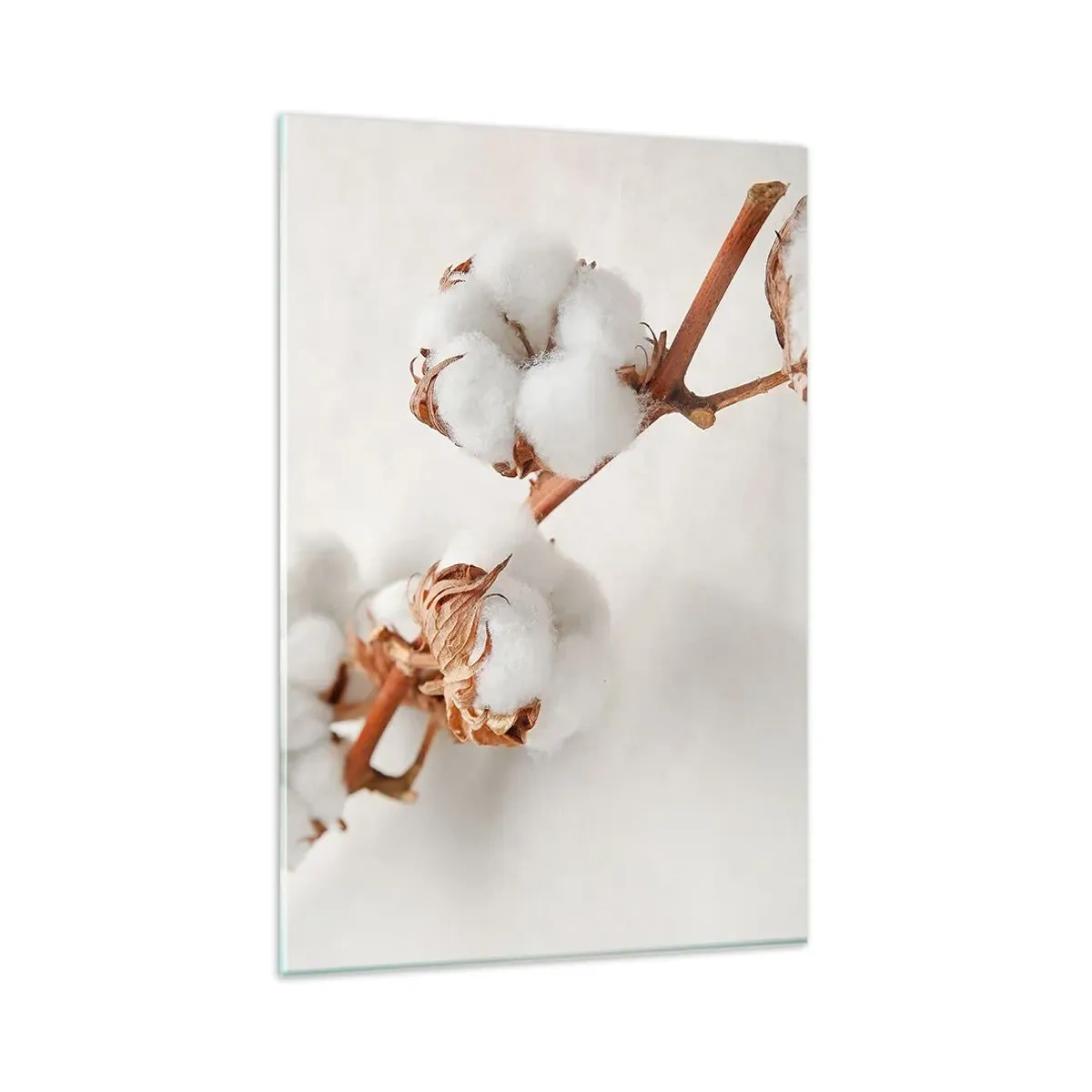Glasbild - Bild auf glas - Ein Zweig Baumwolle auf dezentem Untergrund - 80x120cm - Nur umarmen - Moderne Wanddekoration für Wohnzimmer und Schlafzimmer ARTTOR