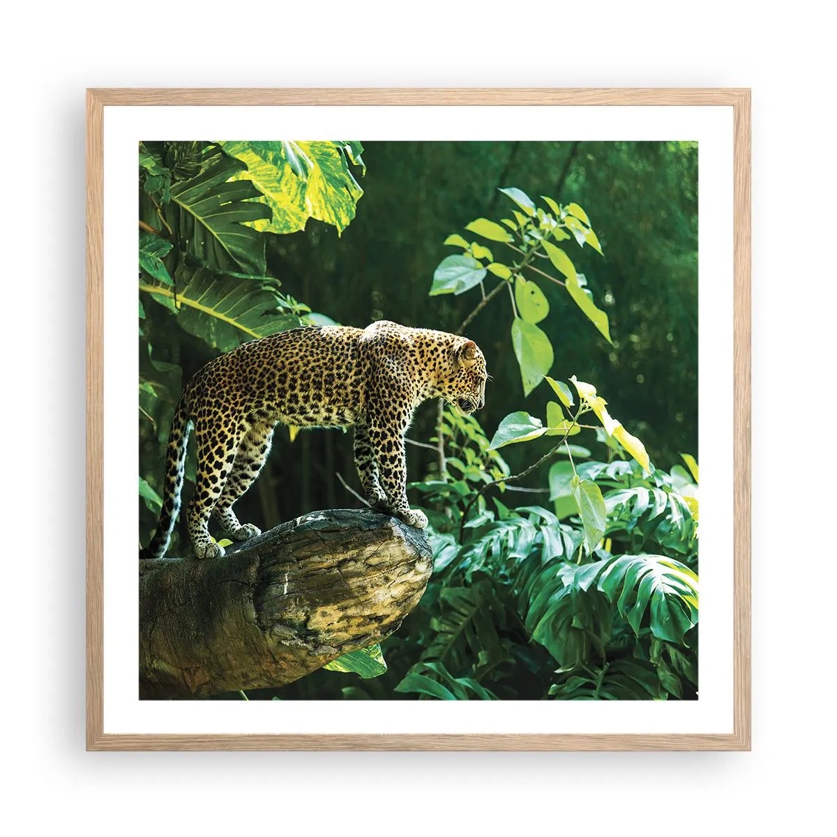 Poster in einem Rahmen aus heller Eiche - Auf die Jagd? - 60x60 cm