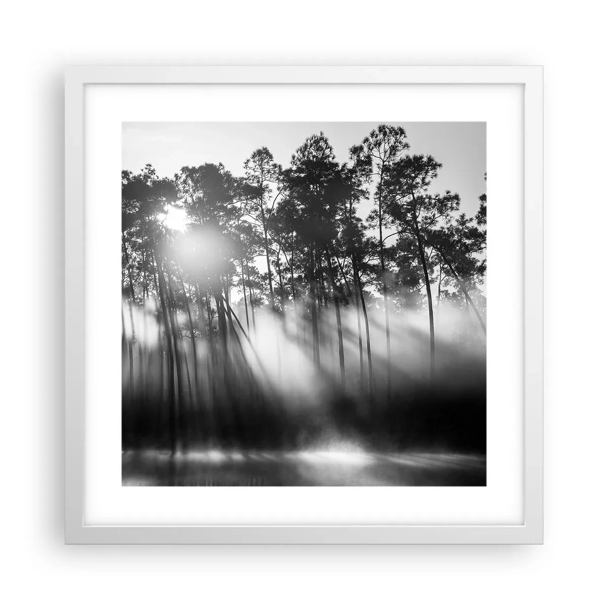 Poster in einem weißen Rahmen - Unaufhaltsame Sonne - 40x40 cm