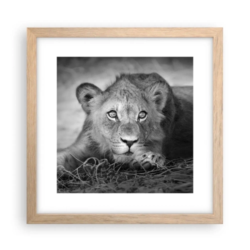 Poster in einem Rahmen aus heller Eiche - Königlicher Welpe - 30x30 cm