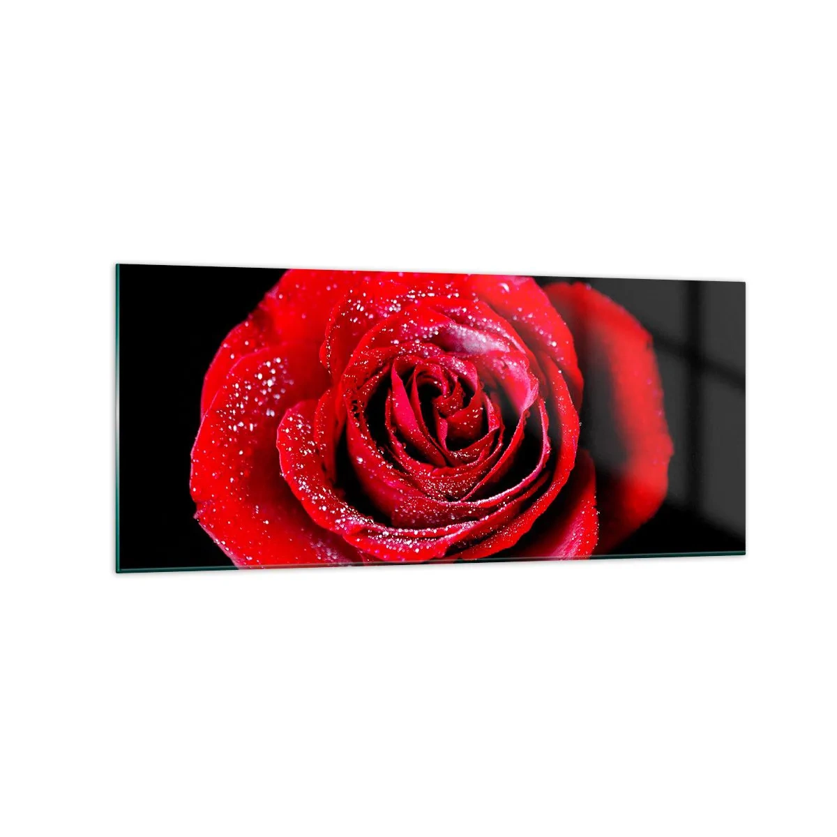 Glasbild - Bild auf glas - Eine rote Rose mit Tautropfen auf schwarzem Hintergrund. - 120x50cm - Das ist Liebe - Moderne Wanddekoration für Wohnzimmer und Schlafzimmer ARTTOR