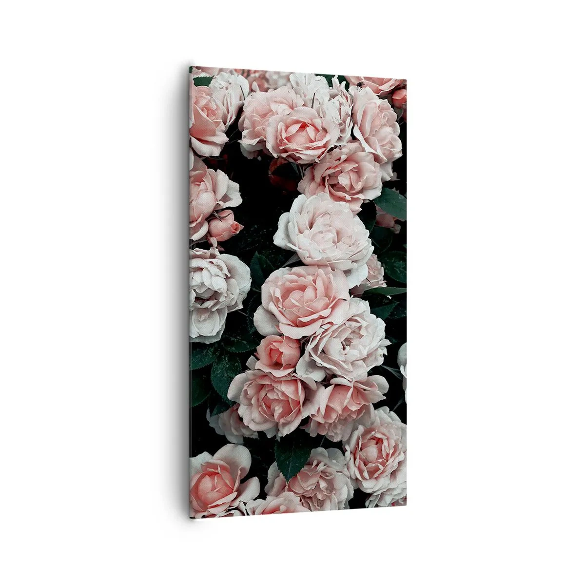 Bild auf Leinwand - Leinwandbild - Rosen-Ensemble - 65x120 cm