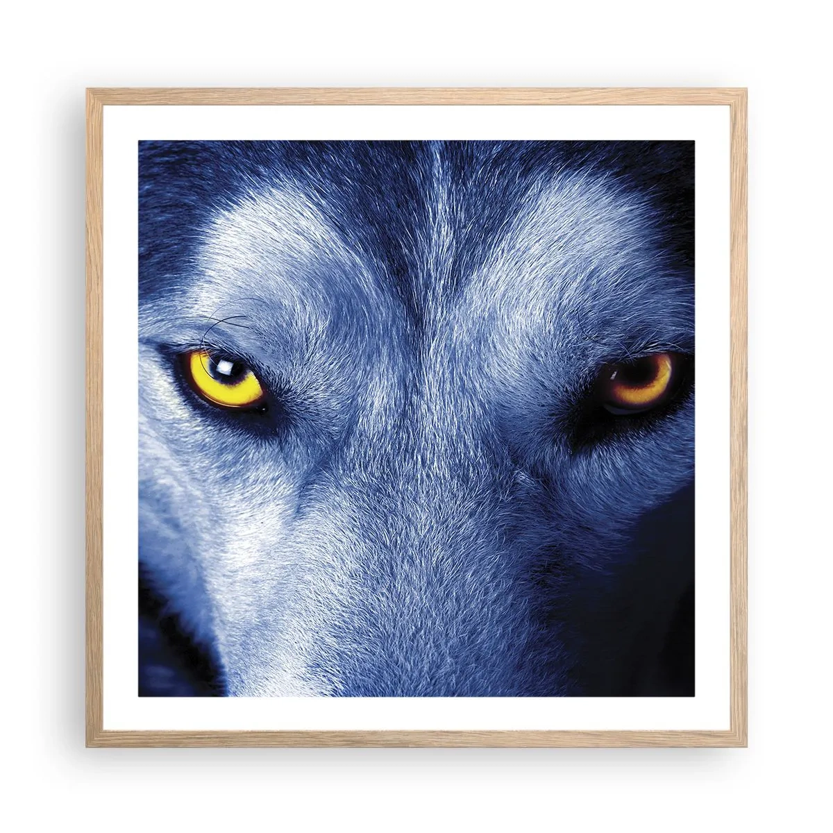 Poster in einem Rahmen aus heller Eiche - Faszinierender Blick - 60x60 cm