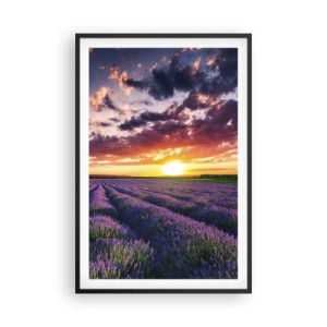 Poster in einem schwarzem Rahmen - Lavendel Welt - 61x91 cm