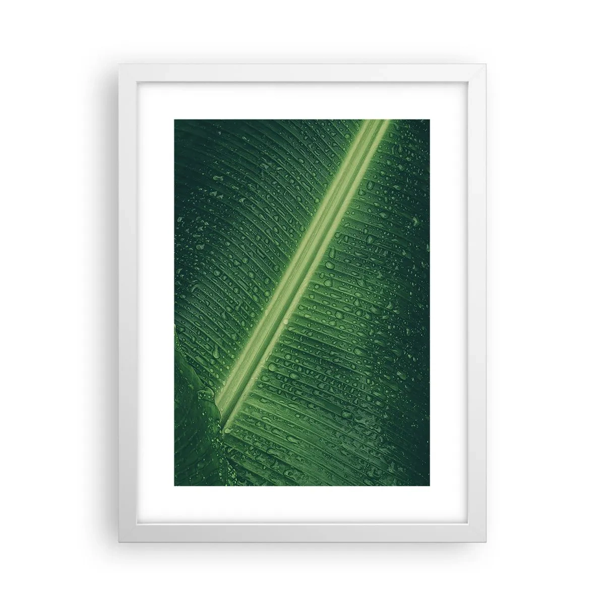 Poster in einem weißen Rahmen - Die Struktur des Grüns - 30x40 cm
