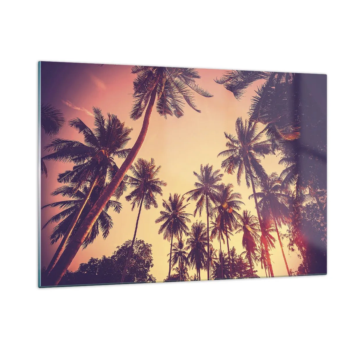 Glasbild - Bild auf glas - Palmen in den Strahlen der untergehenden Sonne - 120x80cm - Tropische Variante - Moderne Wanddekoration für Wohnzimmer und Schlafzimmer ARTTOR