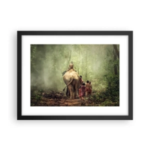 Poster in einem schwarzem Rahmen - Neues Dschungelbuch - 40x30 cm