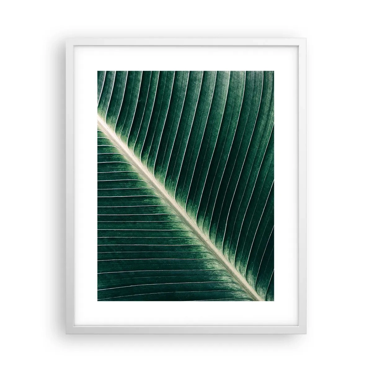 Poster in einem weißen Rahmen - Rhythmus der Natur - 40x50 cm