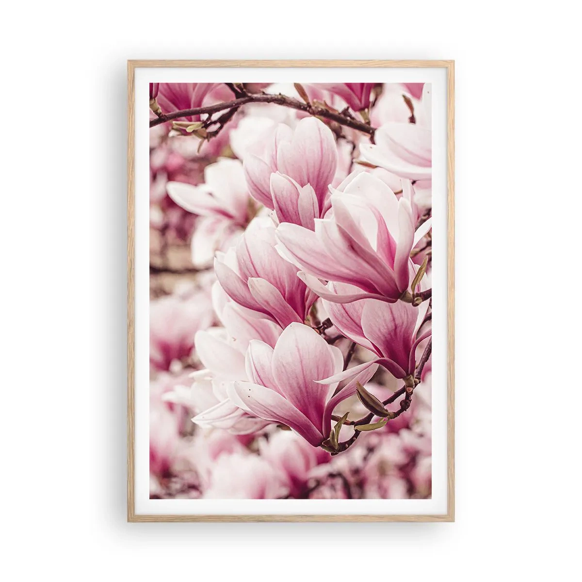 Poster in einem Rahmen aus heller Eiche - Frühling ist rosa - 70x100 cm
