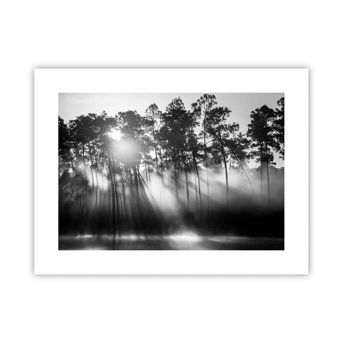 Poster - Unaufhaltsame Sonne - 40x30 cm