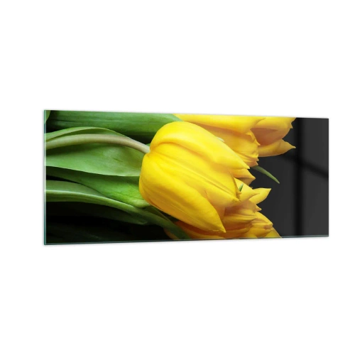 Glasbild - Bild auf glas - Aus klarer Sonne entstanden - 100x40 cm