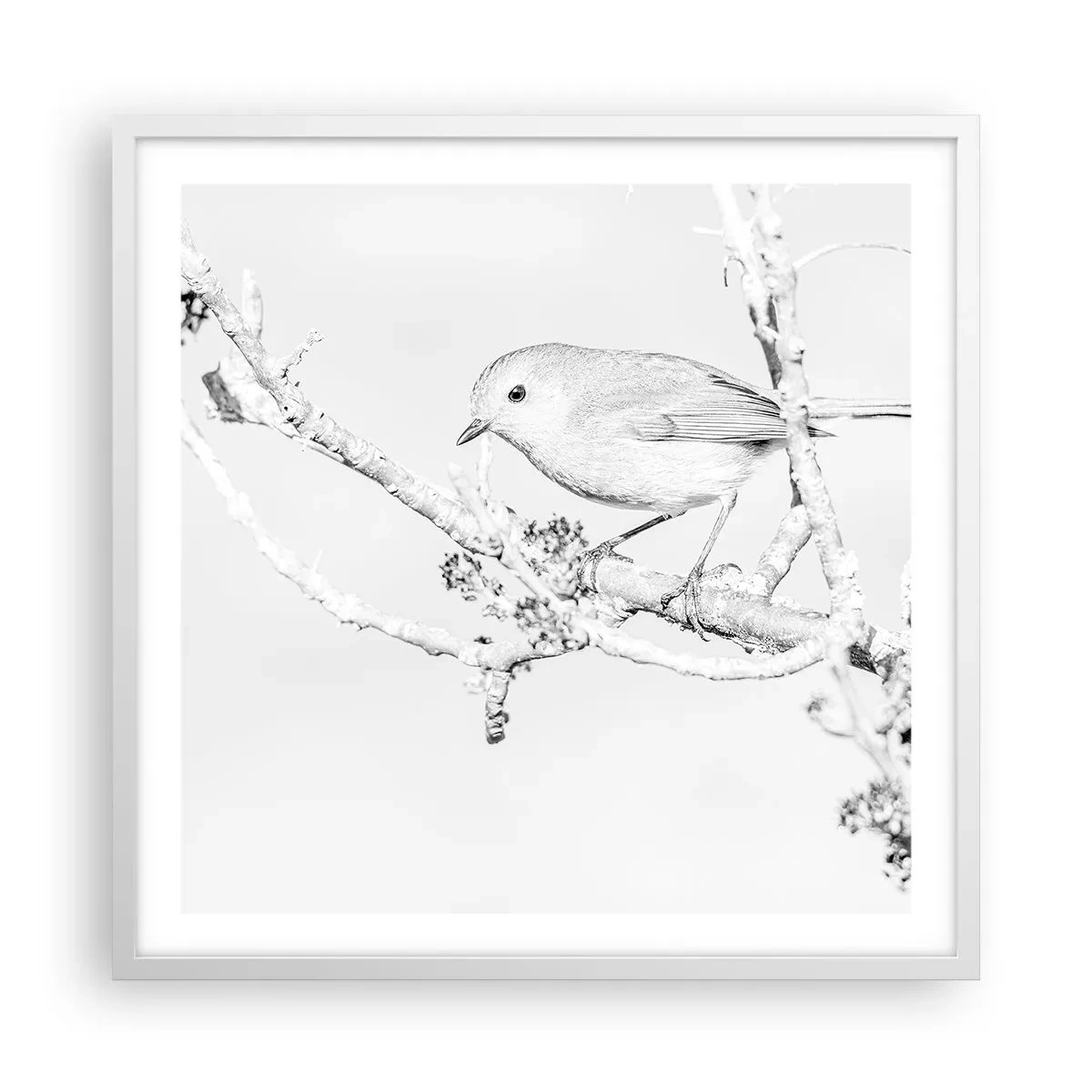 Poster in einem weißen Rahmen - Wintermorgen - 60x60 cm