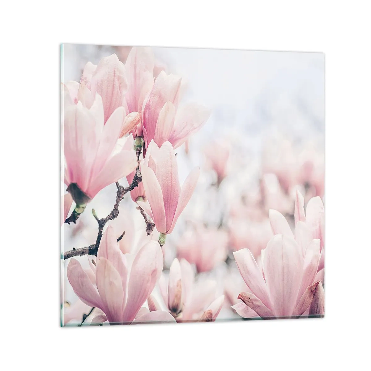 Glasbild - Bild auf glas - Das Ideal der Subtilität - 30x30 cm