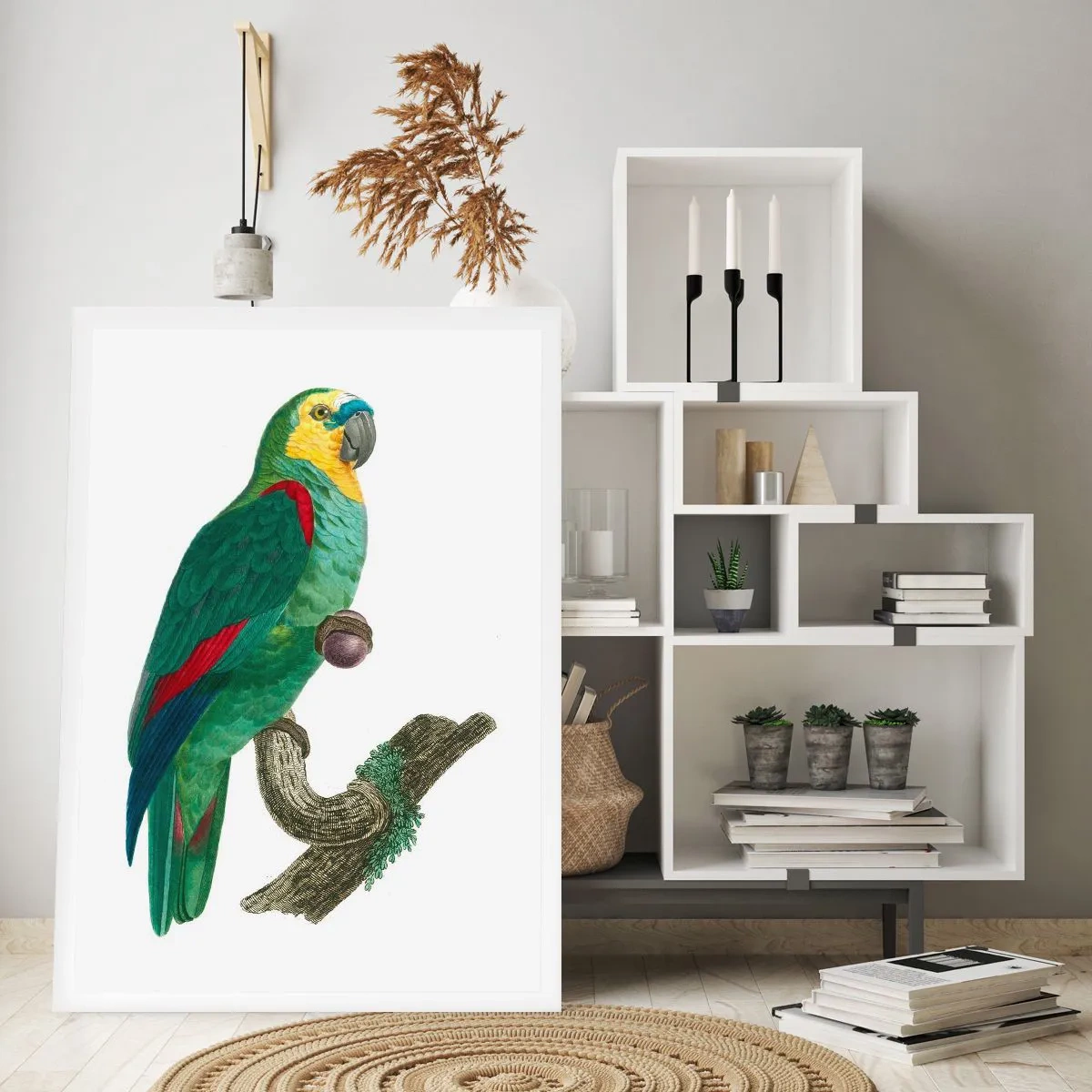 Poster - Papageienporträt - 40x50 cm