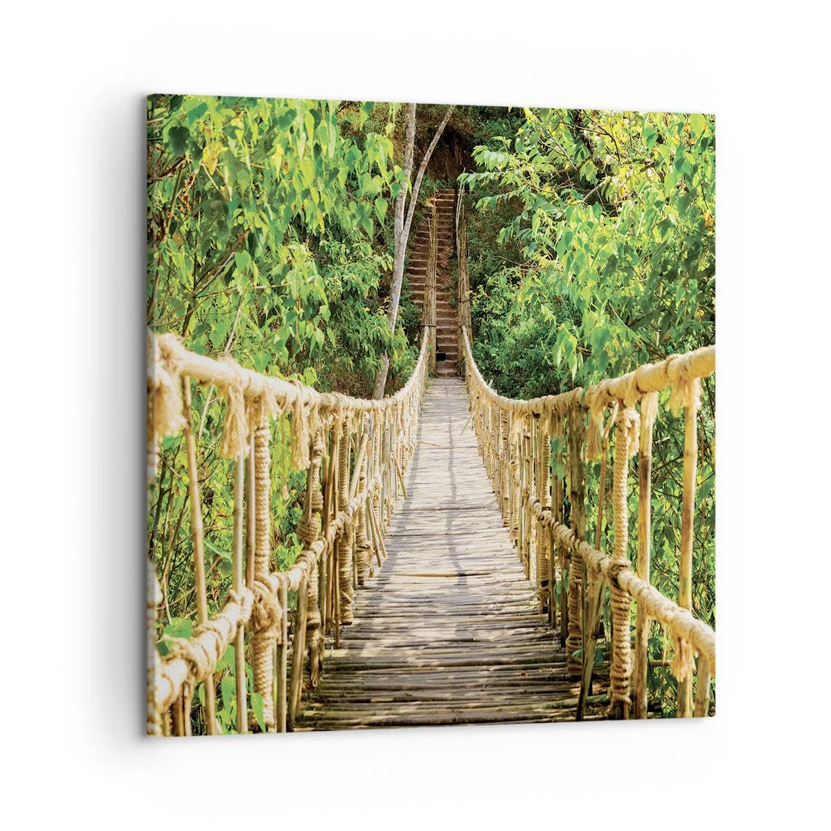 Bild auf Leinwand - Leinwandbild - Im Grünen ausgesetzt - 50x50 cm