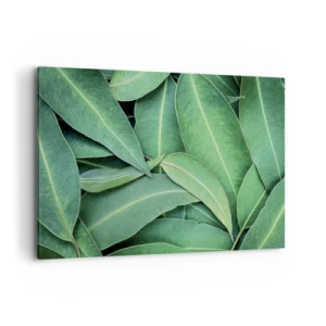 Bild auf Leinwand - Leinwandbild - Nahaufnahme von grünen Blättern, die ein natürliches Muster erzeugen - 120x80cm - Saftig und frisch - Moderne Wanddekoration für Wohnzimmer und Schlafzimmer ARTTOR