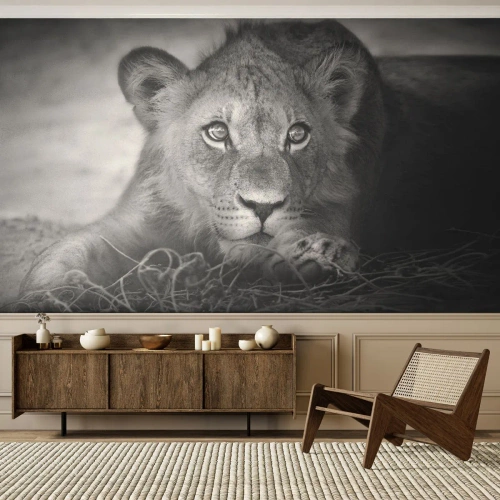 Fototapete Standard Eco - Liegendes Löwenjunges in Schwarz und Weiß - 100x70cm - Königlicher Welpe - Moderne Wanddekoration für Wohnzimmer und Schlafzimmer ARTTOR