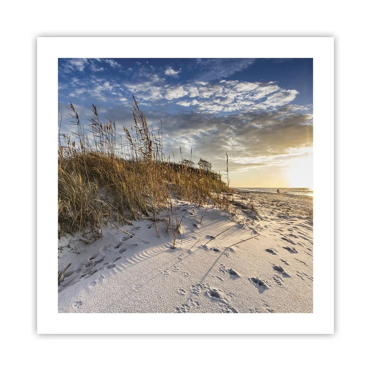 Poster - Einladung zu einem Spaziergang - 50x50 cm