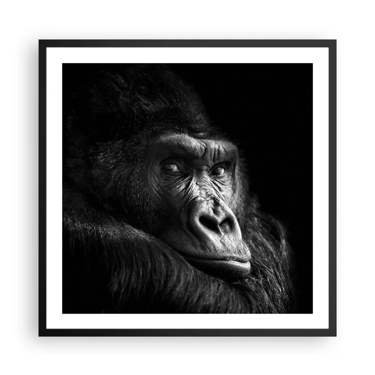 Poster in einem schwarzem Rahmen - Und was guckst du so? - 60x60 cm