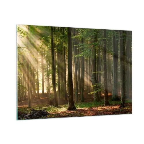 Glasbild - Bild auf glas - Sonnenstrahlen scheinen durch die Bäume im Wald - 100x70cm - Strahlend an einem Frühlingsmorgen - Moderne Wanddekoration für Wohnzimmer und Schlafzimmer ARTTOR