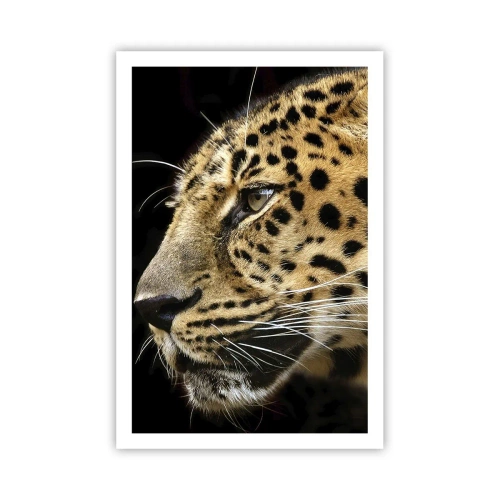 Poster - Ruhig, fokussiert, bereit - 61x91 cm