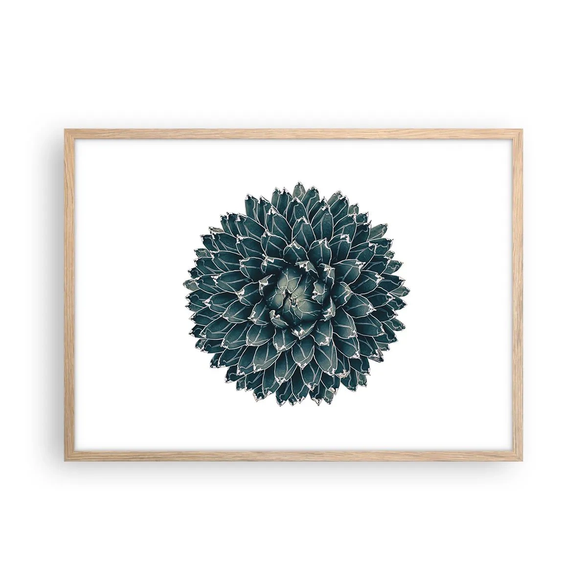 Poster in einem Rahmen aus heller Eiche - Stern der Wüste - 70x50 cm