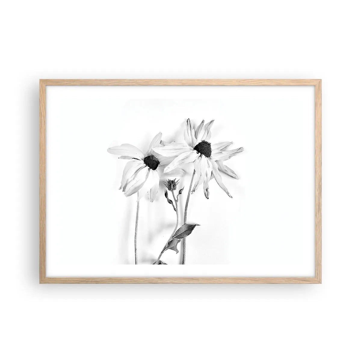 Poster in einem Rahmen aus heller Eiche - Niemand will allein sein - 70x50 cm