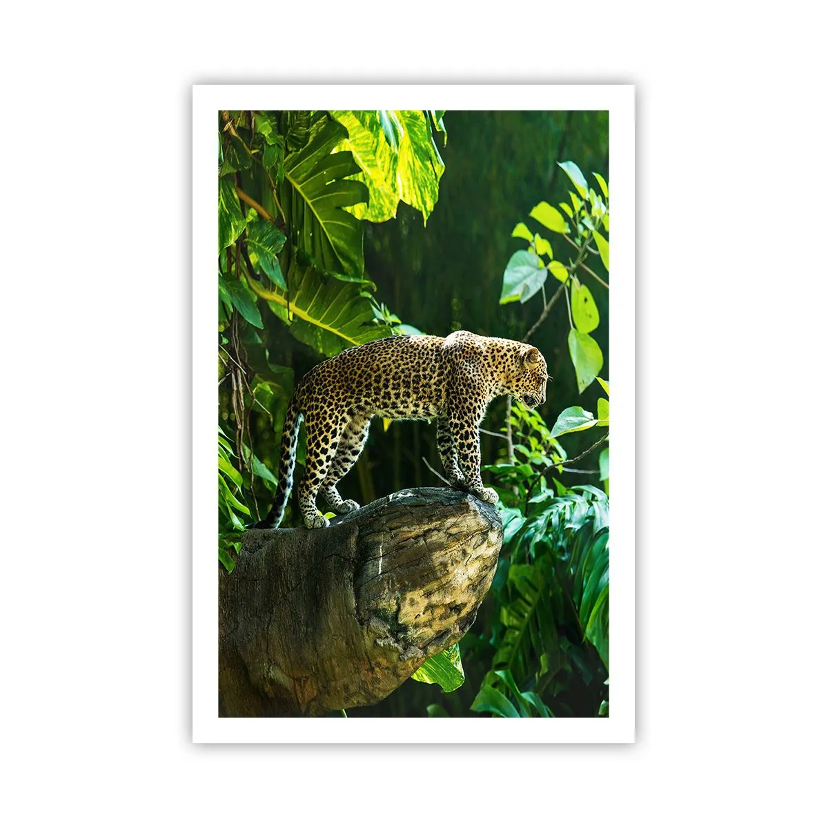 Poster - Auf die Jagd? - 61x91 cm