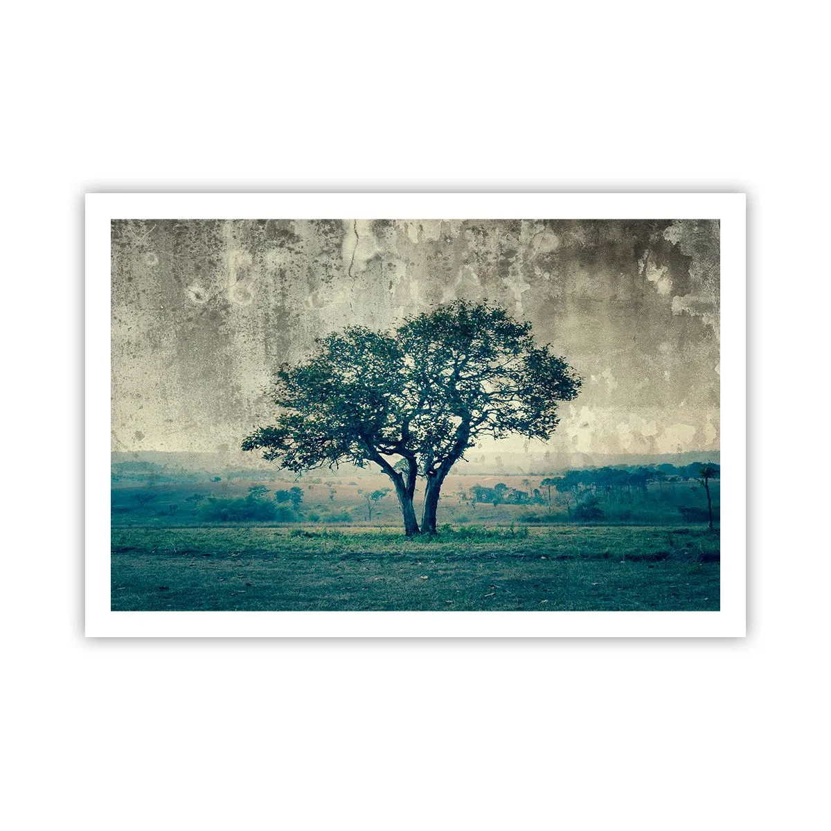 Poster - Ein Apfelbaum auf blauem Feld? - 91x61 cm