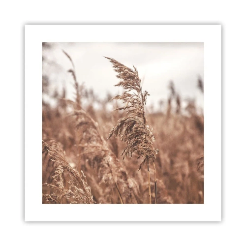 Poster - Auf den Feldern ist es schon Herbst - 40x40 cm