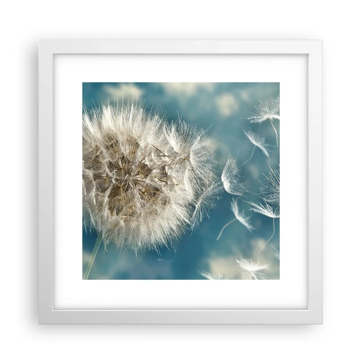 Poster in einem weißen Rahmen - Engelsatem - 30x30 cm