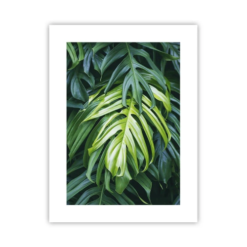 Poster - Tauchen Sie ein in die Frische - 30x40 cm