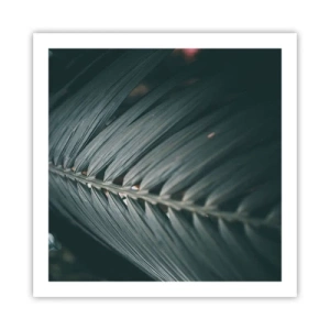 Poster - Die Präzision der Natur - 60x60 cm