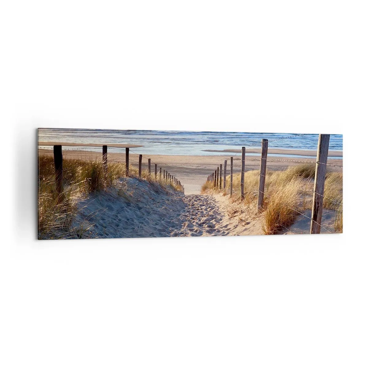 Bild auf Leinwand - Leinwandbild - Weg durch die Dünen zum Strand - 160x50cm - Das Rauschen des Meeres, der Gesang der Vögel, ein wilder Strand im Gras ... - Moderne Wanddekoration für Wohnzimmer und Schlafzimmer ARTTOR