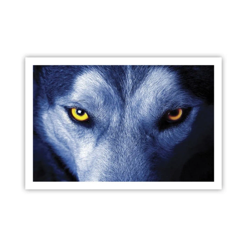 Poster - Faszinierender Blick - 91x61 cm