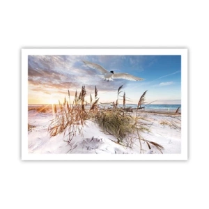 Poster - Wind vom Meer - 91x61 cm