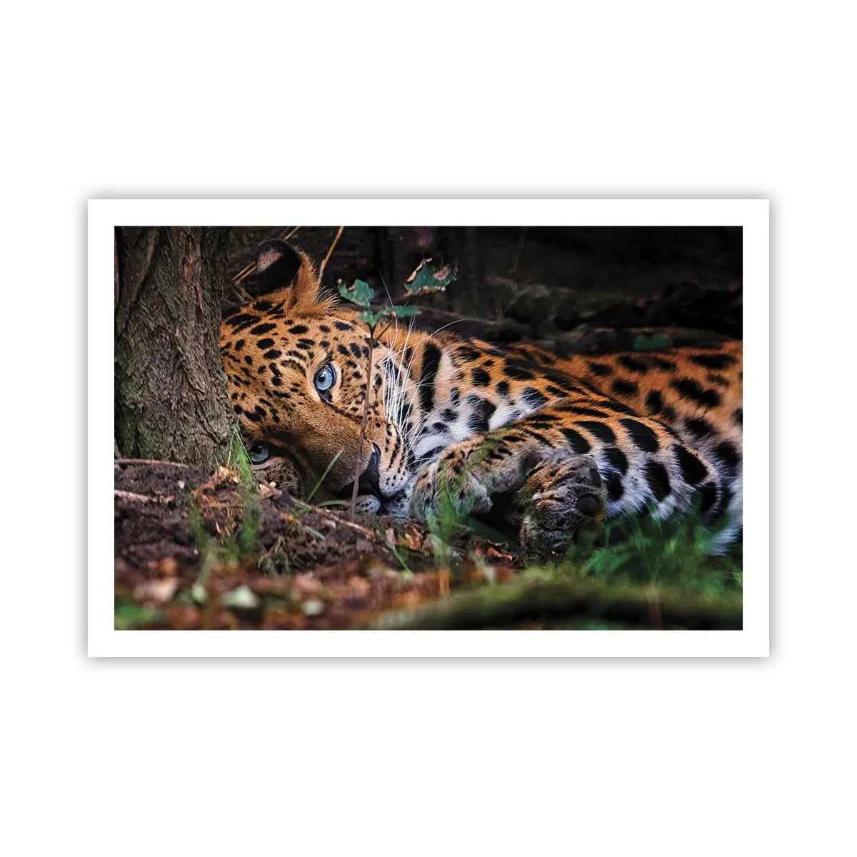 Poster - Vertrau mir - 91x61 cm