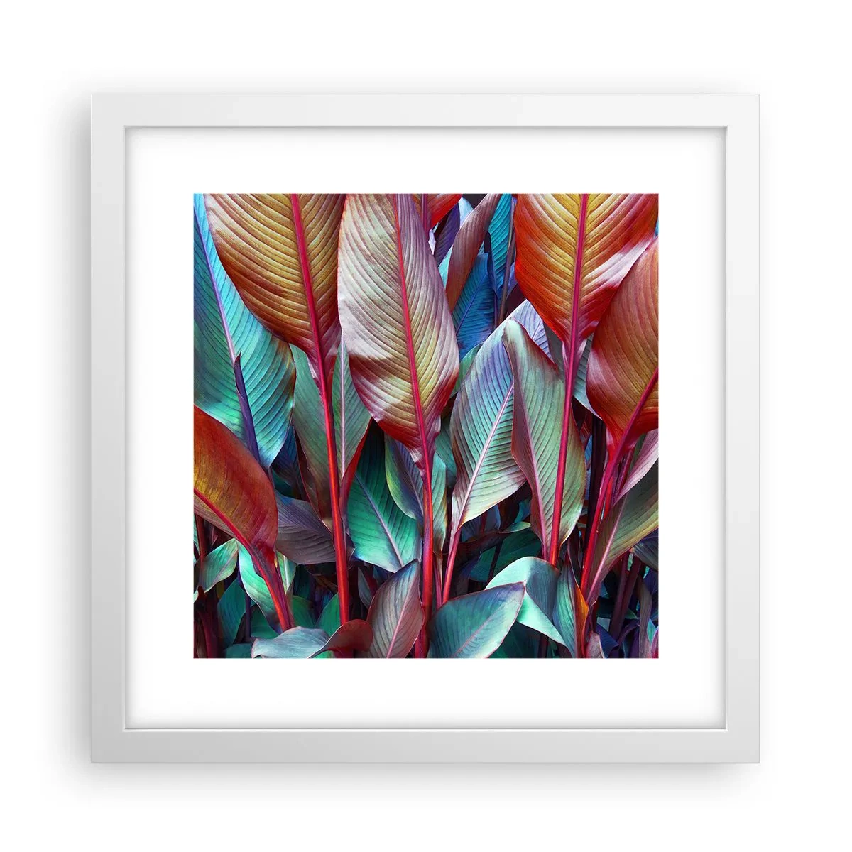 Poster in einem weißen Rahmen - Buntes Dickicht - 30x30 cm