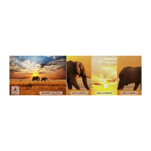 Fototapeten Muster Premium Sand - Familienspaziergang - Tiere, Afrika, Elefant - 100x30 cm