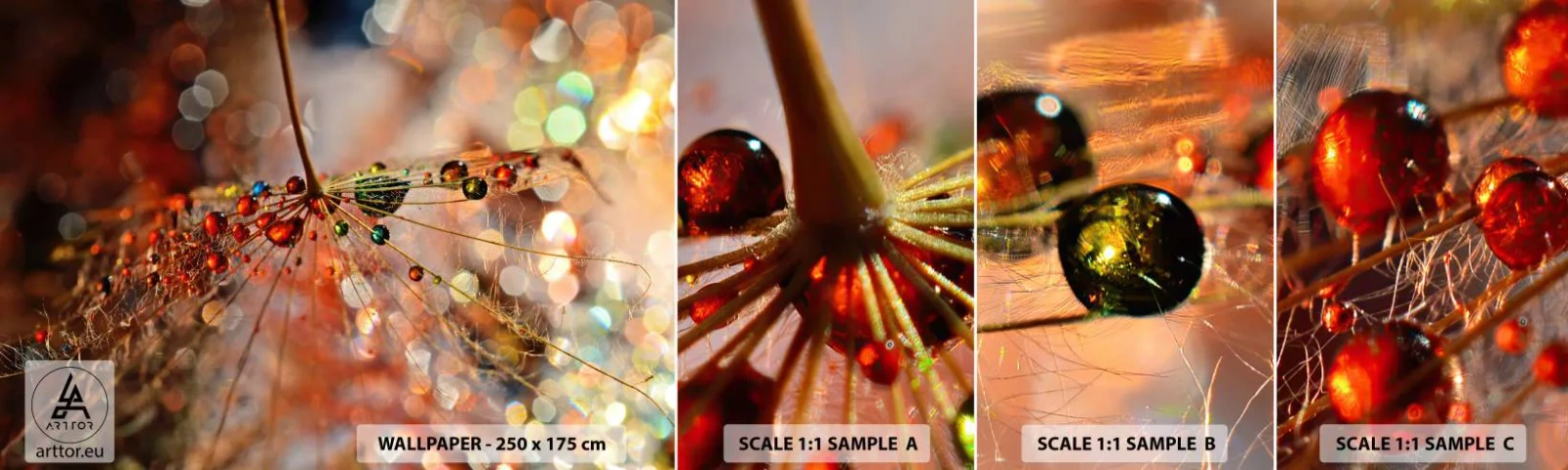 Fototapeten Muster Selbstklebend Deluxe Sticker - Auf einem Spinnenfaden aufgefädelt - Abstraktion, Spinnennetz, Stück - 100x30 cm