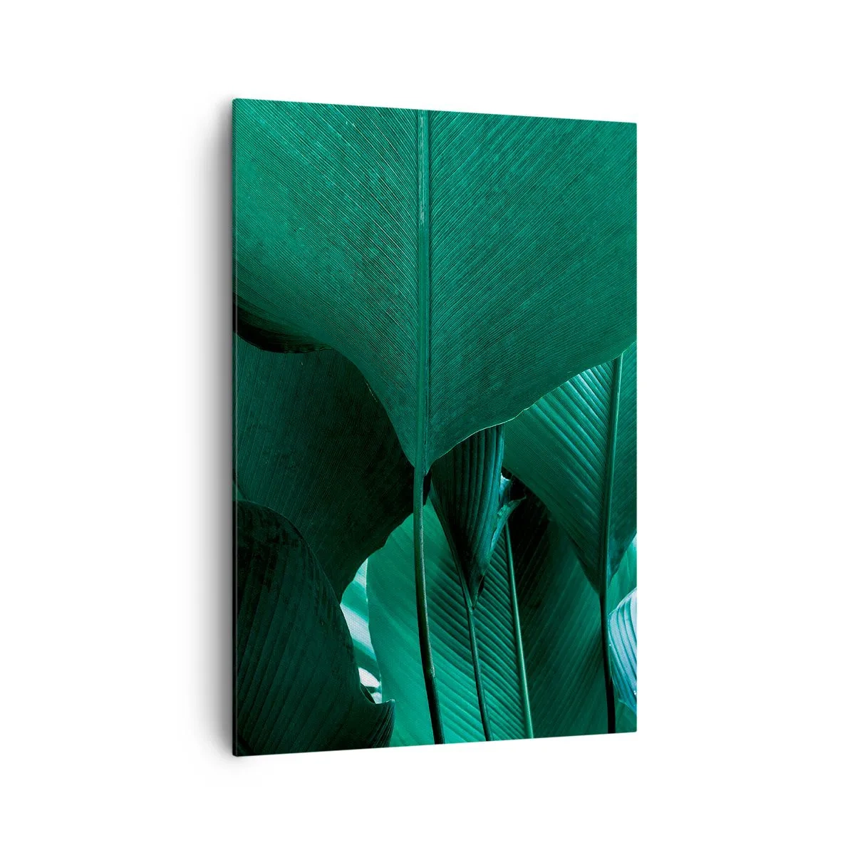 Bild auf Leinwand - Leinwandbild - Grüne Blätter in minimalistischer Komposition - 70x100cm - Dem Licht zugewandt - Moderne Wanddekoration für Wohnzimmer und Schlafzimmer ARTTOR