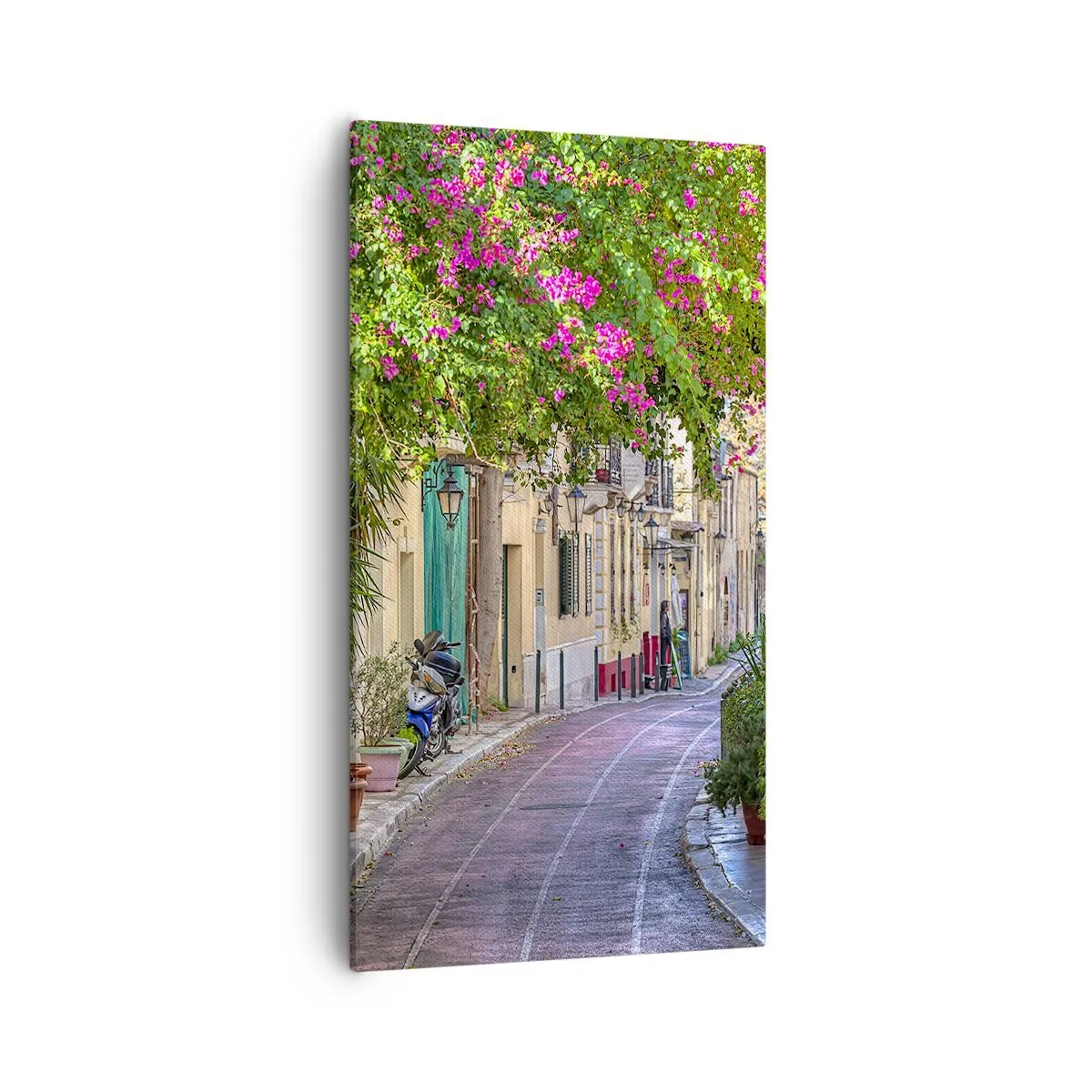 Bild auf Leinwand - Leinwandbild - Blühende Gasse - 55x100 cm
