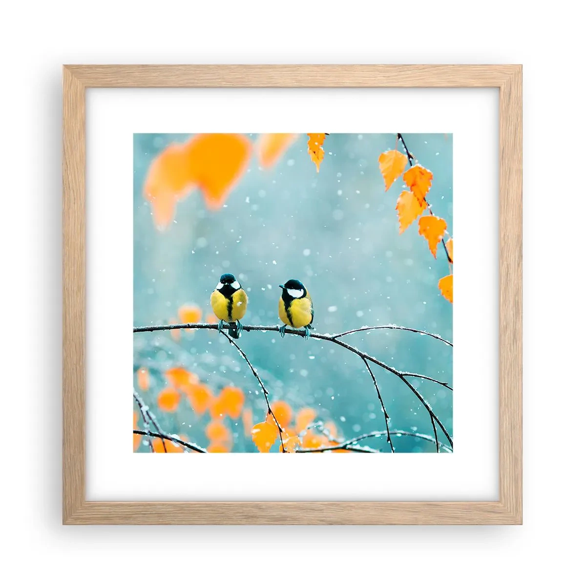 Poster in einem Rahmen aus heller Eiche - Vogelklatsch - 30x30 cm