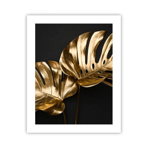 Poster - Die Schätze der Natur - 40x50 cm