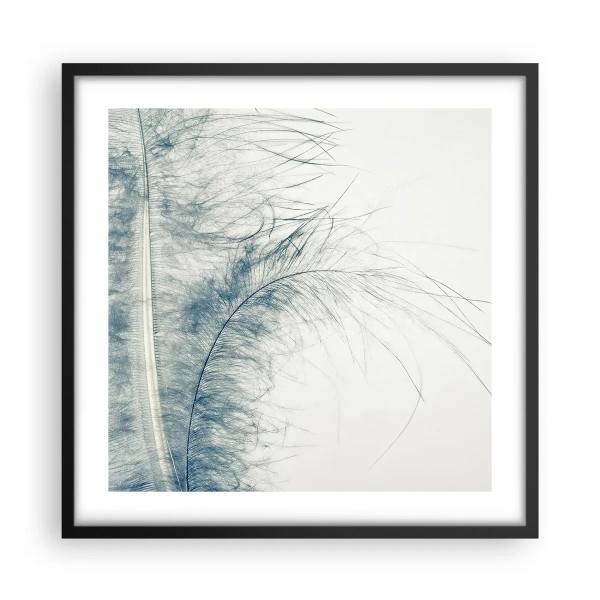 Poster in einem schwarzem Rahmen - Flüstern der Natur - 50x50 cm