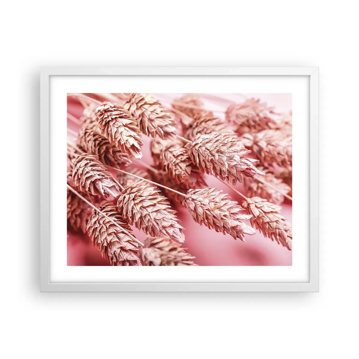 Poster in einem weißen Rahmen - Eine Blumenkaskade in Rosa - 50x40 cm
